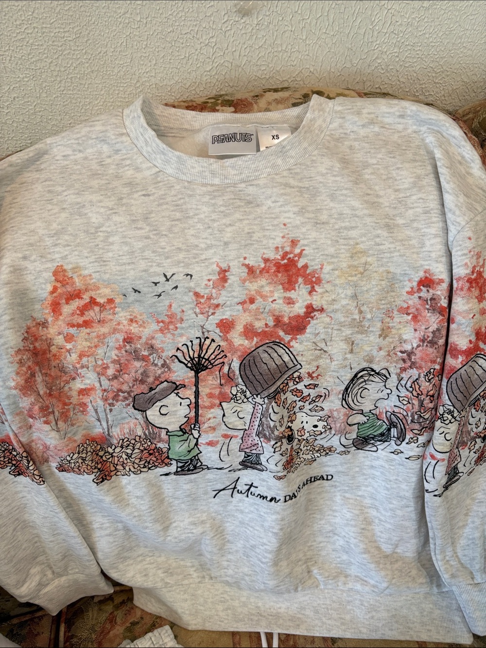 Peanuts Grey and Orange Autumn Set - Picture 2 of 5